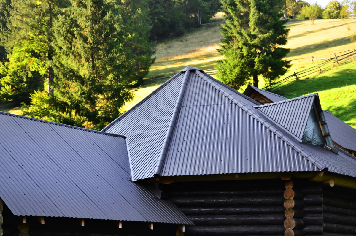 summer house with a black metal sheet roof in forest