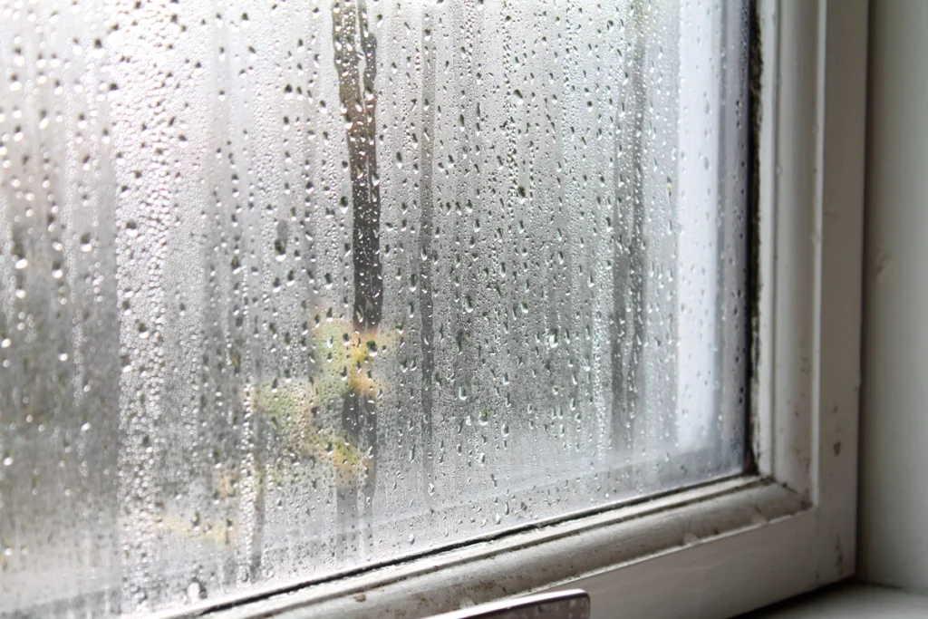 foggy-rain-windows