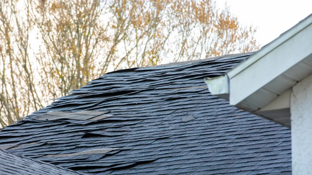 damaged-shingles-roof-inspect