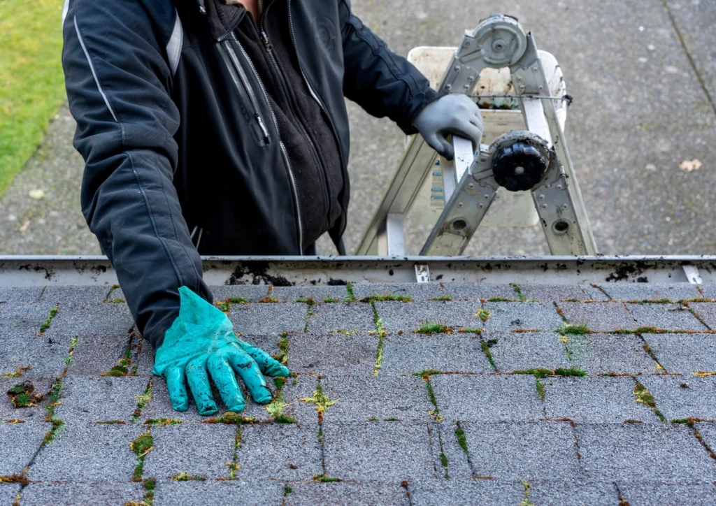 roof moss removal-arial view of moss on roof being inspected by a man on a ladder