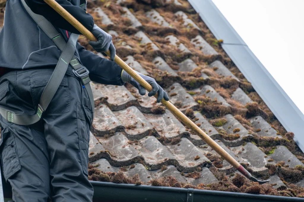 roof moss removal-roof tech using hand tool to remove moss from roof