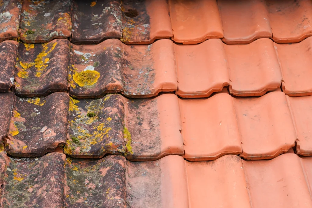 roof moss removal-side by side image of a tile roof with half covered in moss